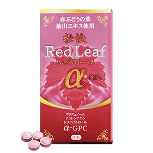 壮快レッドリーフ